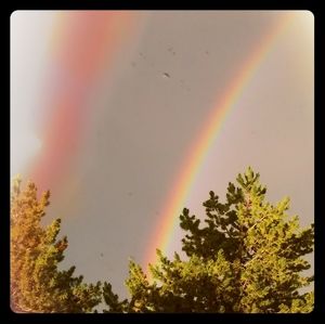 Meet your Posher, Ava